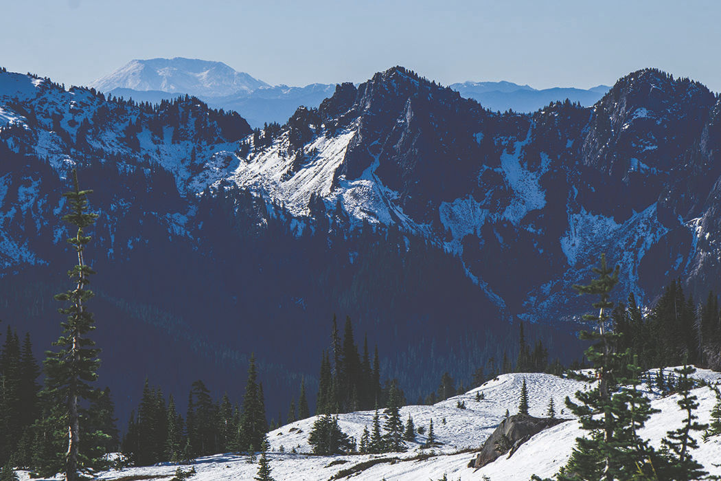 Photos: From Paradise in Mount Rainier National Park
